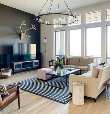 Online design Modern Living Room by Lauren K. thumbnail