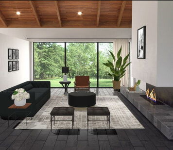 Online design Contemporary Living Room by Liz C. thumbnail