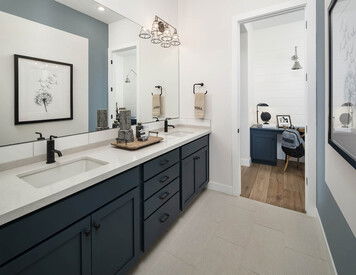 Online design Transitional Bathroom by Alexa H. thumbnail
