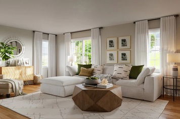 Online design Transitional Living Room by Rachel H. thumbnail