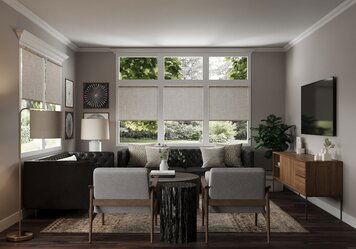 Online design Transitional Living Room by Erin R. thumbnail