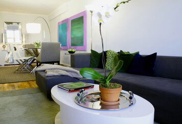 Online design Contemporary Combined Living/Dining by Renata G. thumbnail