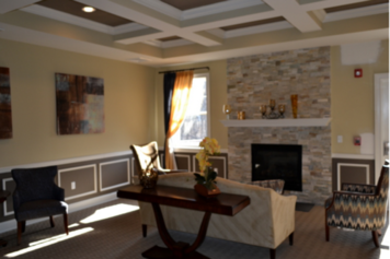 Online design Transitional Living Room by Megan K. thumbnail