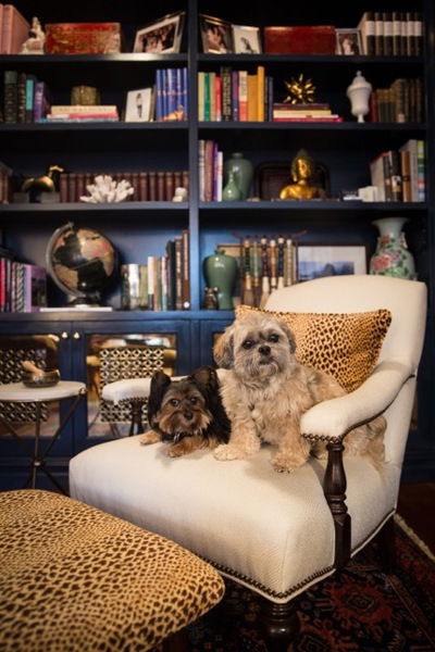 Contemporary Pet-Friendly Home Office Decorating