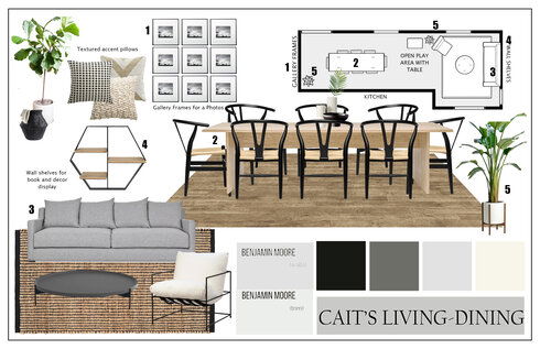 Modern Living-Dining Combo Design Casey H. Moodboard 1 thumb