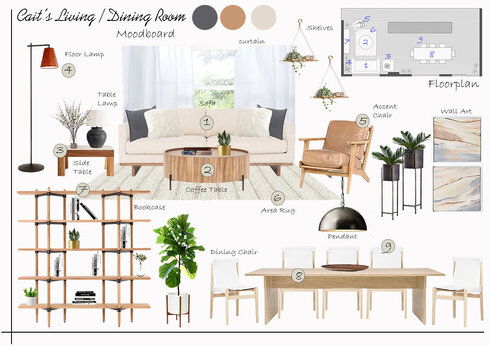 Modern Living-Dining Combo Design Liana S. Moodboard 2 thumb