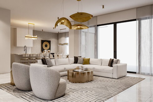 Combined Modern Luxury Living and Dining Room