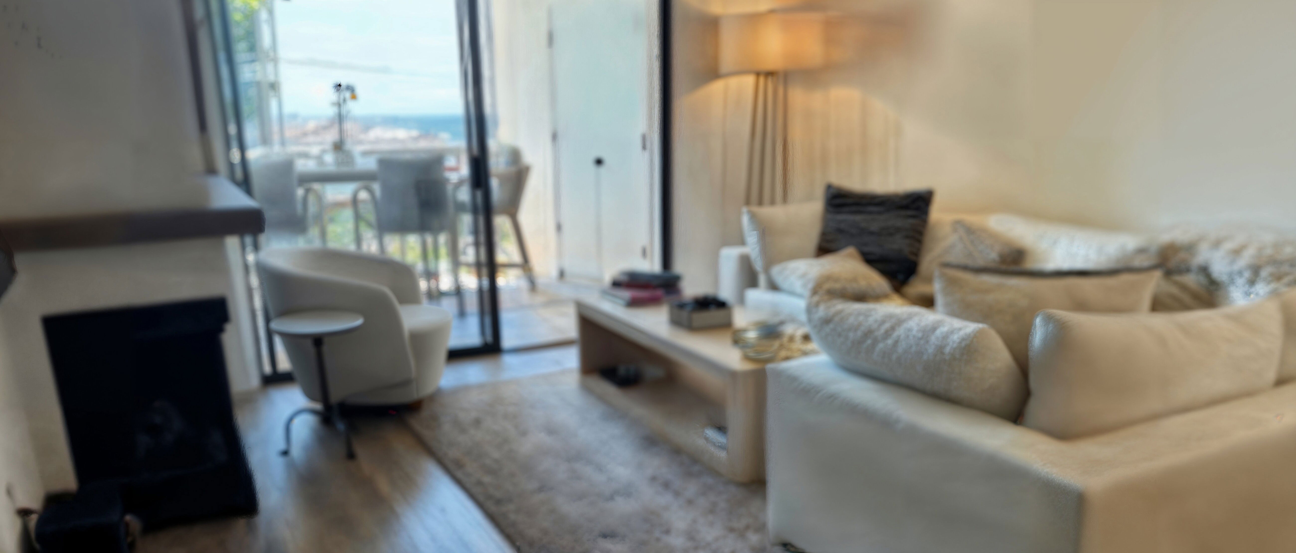 Organic Eclectic Combined Living & Dining Room- Before Photo