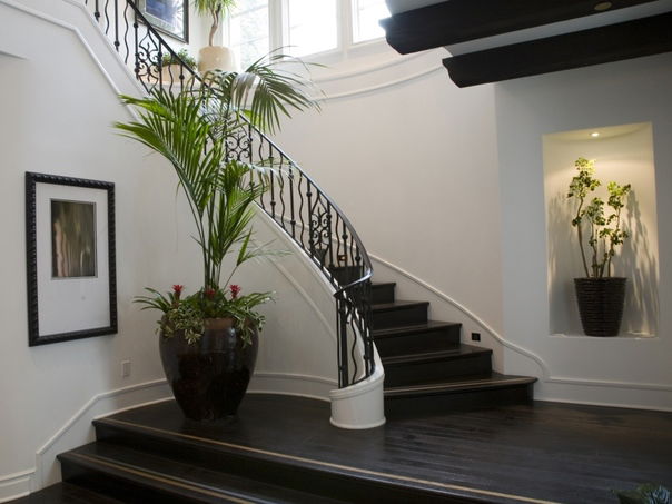Sleek Online Interior Design Hallway with Black Wood Floors