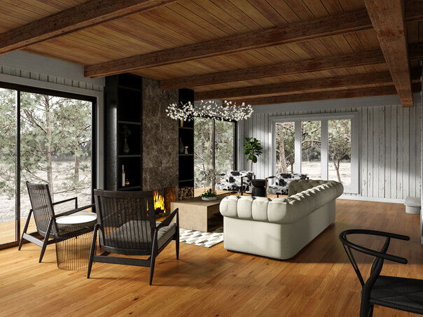 Living Room Dining Room Combo interior design help 2