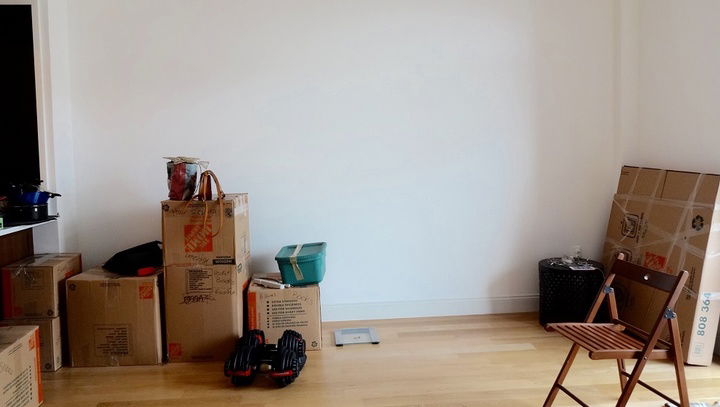Bright-Mid-Century-Modern-Living-Room-Before-Photo