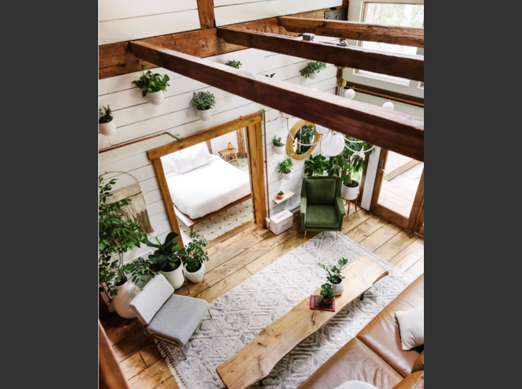 Modern Rustic Cabin Living Room Design | Decorilla