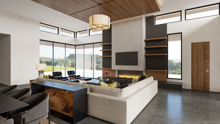 Online design Modern Combined Living/Dining by Casey H. thumbnail