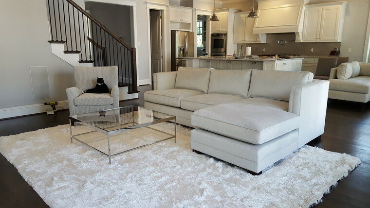 Online design Transitional Living Room by Shelley C. thumbnail