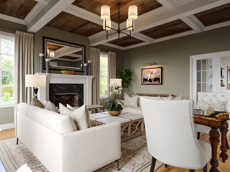 Online design Transitional Living Room by Casey H. thumbnail