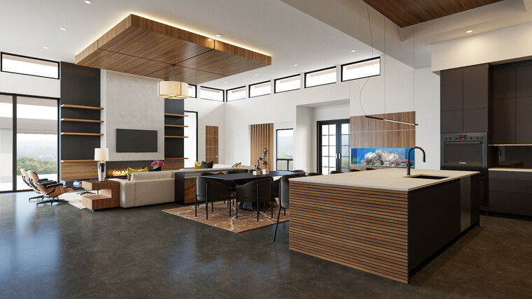 Online design Modern Combined Living/Dining by Casey H. thumbnail