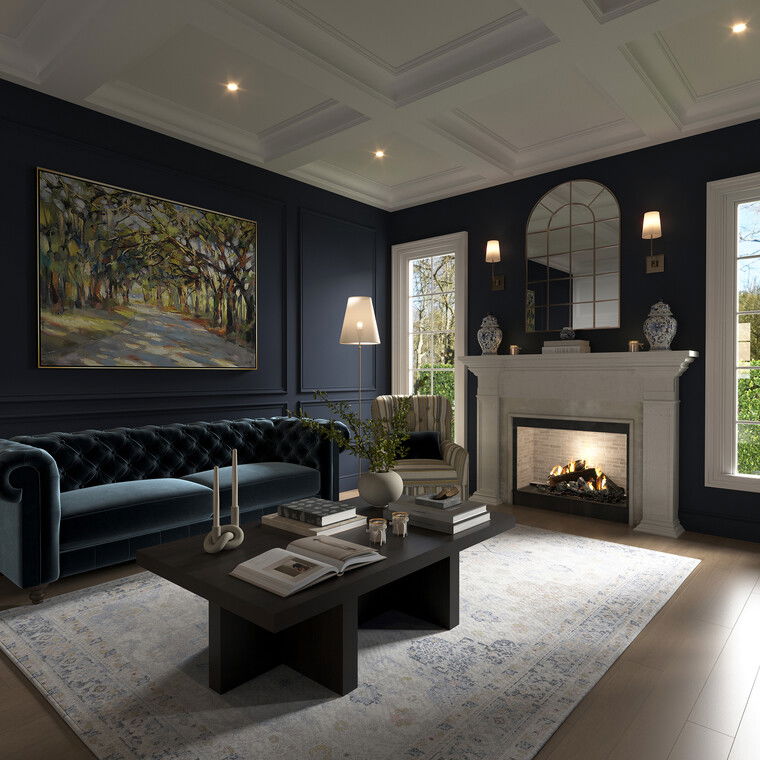 Online design Traditional Living Room by Nathalie I. thumbnail