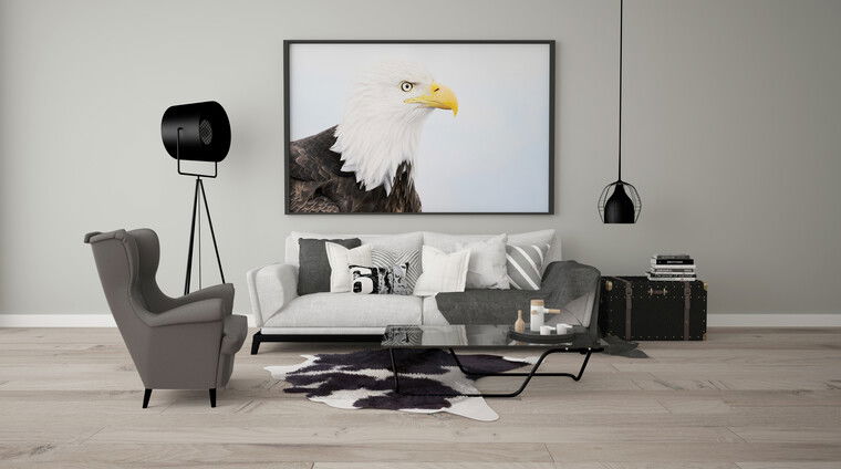 Online design Contemporary Living Room by Dominika Z. thumbnail