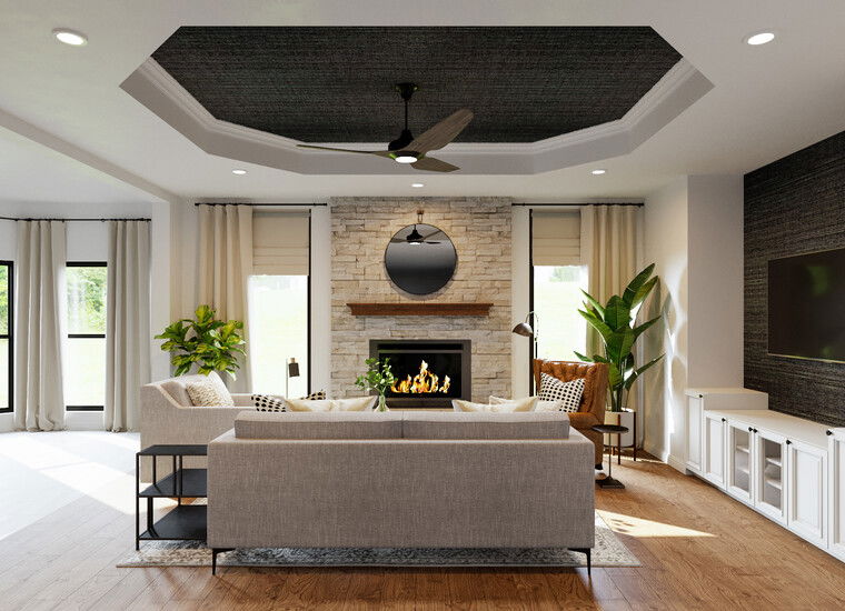 Online design Transitional Living Room by Casey H. thumbnail