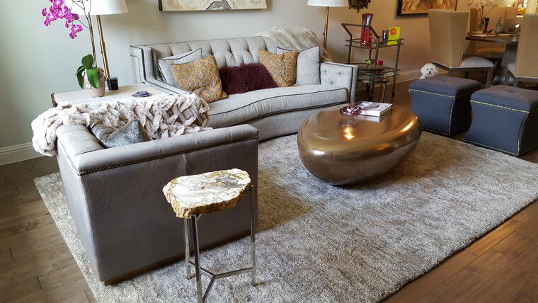 Online design Transitional Living Room by Shelley C. thumbnail