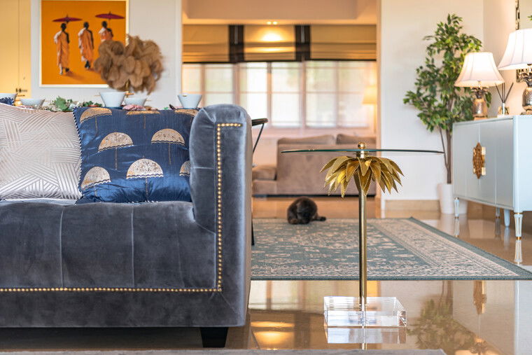 Online design Transitional Living Room by Nazli U. thumbnail
