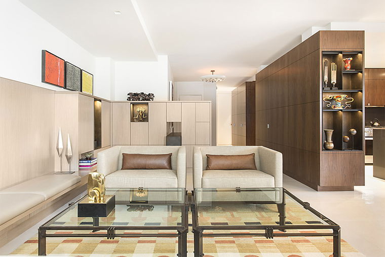 Online design Contemporary Living Room by Susan W. thumbnail
