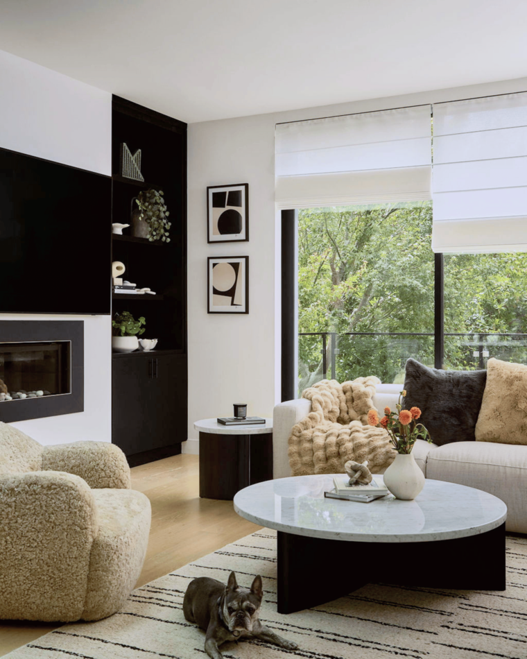 Online design Contemporary Living Room by Zilia Z. thumbnail