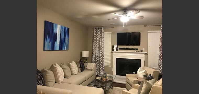 Online design Transitional Living Room by Brooke M. thumbnail