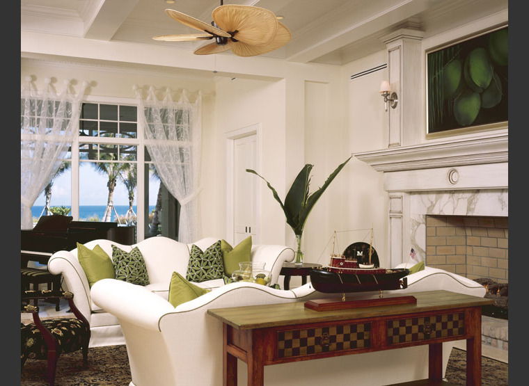 Online design Transitional Living Room by Susan C. thumbnail