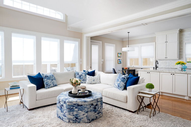 Online design Transitional Living Room by Lacie H. thumbnail