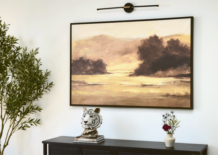 Online design Contemporary Living Room by Zilia Z. thumbnail