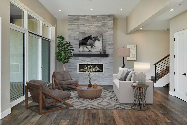 Online design Contemporary Living Room by Lisa D. thumbnail