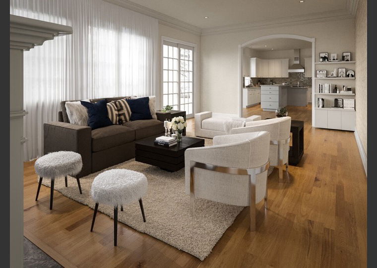 Online design Transitional Combined Living/Dining by Amelia R. thumbnail