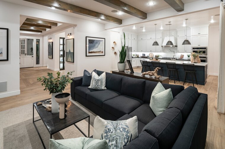 Online design Modern Living Room by Alexa H. thumbnail