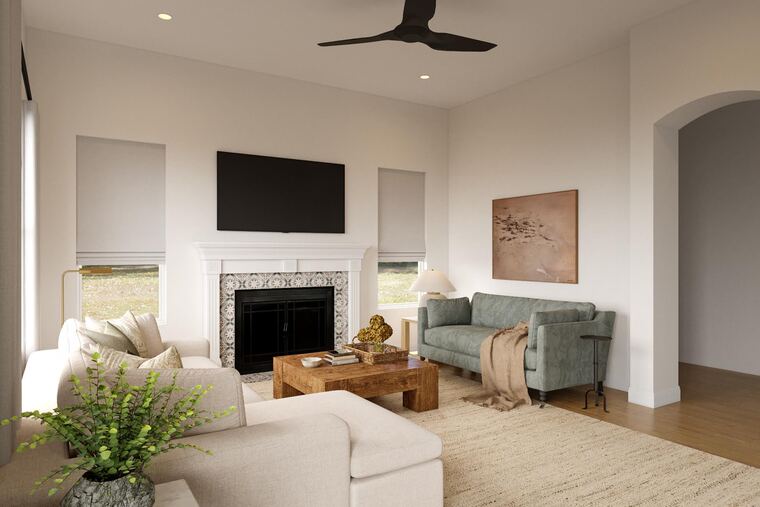 Online design Transitional Living Room by Erin R. thumbnail