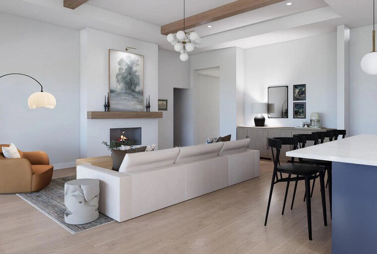 Online design Contemporary Combined Living/Dining by Ashley S. thumbnail