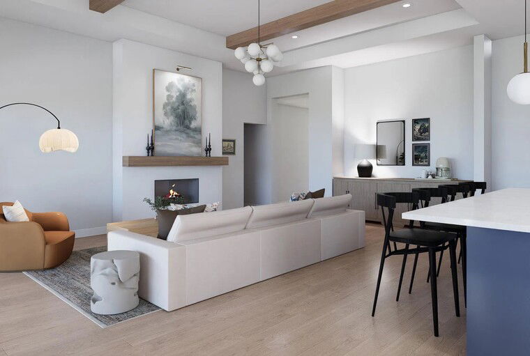 Online design Contemporary Combined Living/Dining by Ashley S. thumbnail