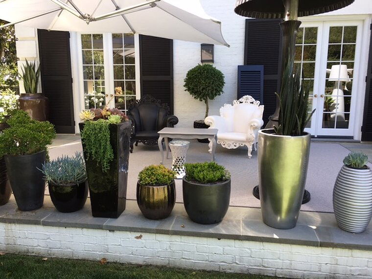 Diseño en línea Patio Moderno por Lauren B. miniatura