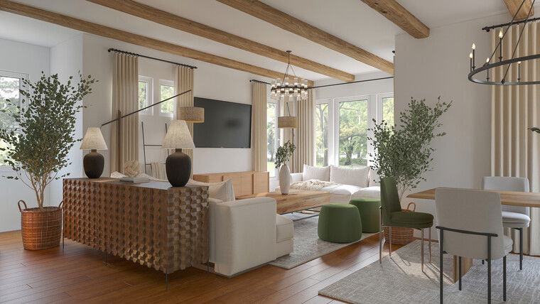 Online design Transitional Living Room by Erika F. thumbnail