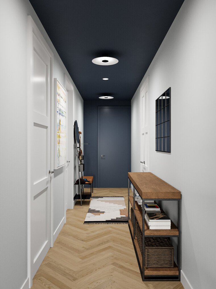 Online design Modern Hallway/Entry by Liana S. thumbnail