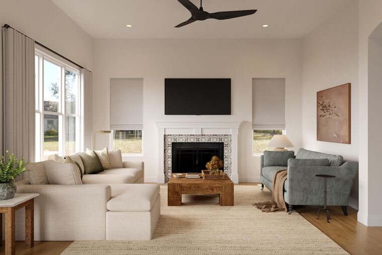 Online design Transitional Living Room by Erin R. thumbnail