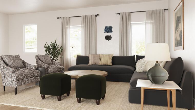 Online design Transitional Living Room by Erin R. thumbnail