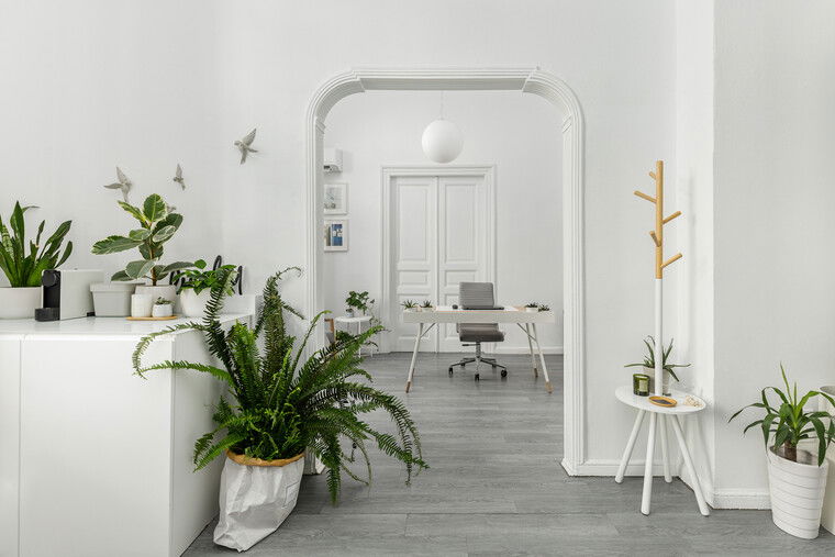 Online design Transitional Business: 1 Space by Sandra K. thumbnail