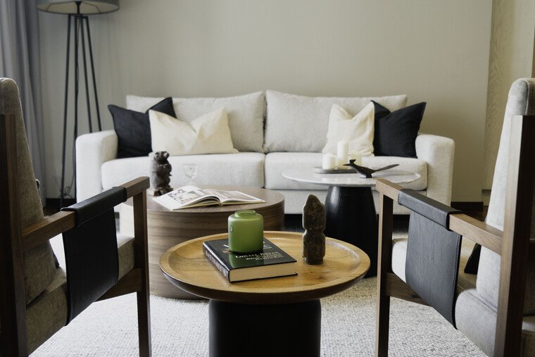 Online design Modern Living Room by Elena F. thumbnail