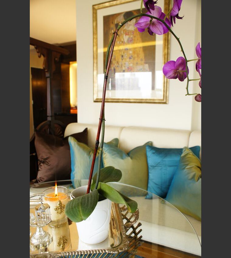 Online design Eclectic Living Room by Renata G. thumbnail