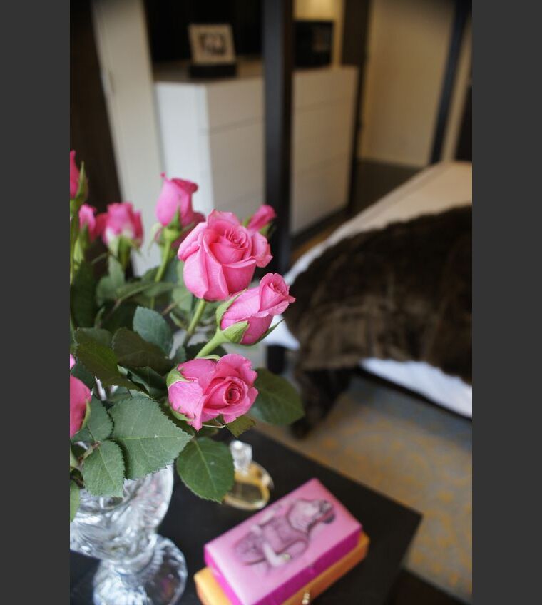 Online design Eclectic Bedroom by Renata G. thumbnail