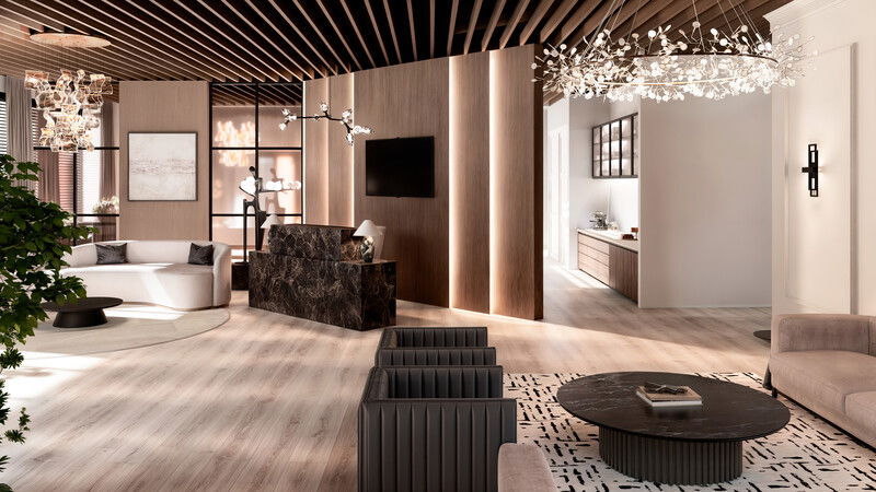 Online Designer Business/Office 3D Model 3