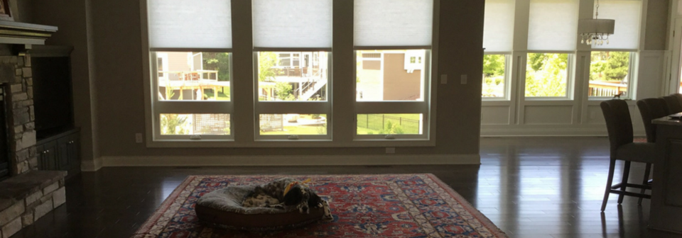 Cozy Traditional Living & Dining- Before Photo