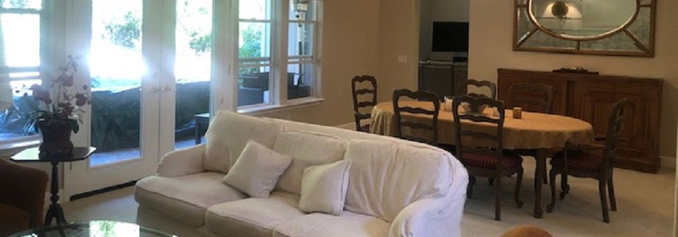 Traditional Feminine Living & Dining Room Decor- Before Photo