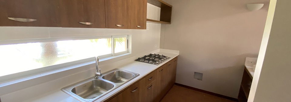 Sleek Scandinavian Style Kitchen Remodel- Before Photo